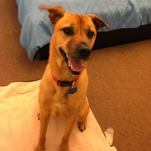 Meet your Posher, Maria camila